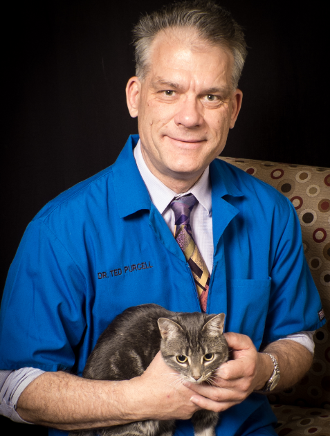 Dr Ted Purcell Profile