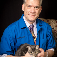 Dr Ted Purcell (@drtedpurcell) 's Twitter Profile