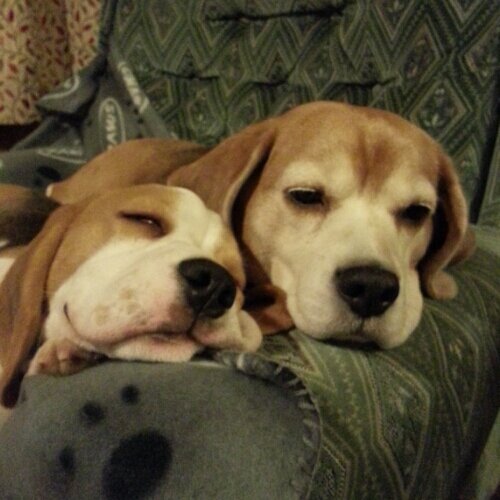 snowkitten_uk's profile picture. Railway Controller. TSSA Health & Safety Rep and Branch Secretary. Worcester Warriors RFU fan. Aston Villa FC fan. All opinions are my own and no one else's.