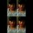 wellybanata24's profile image