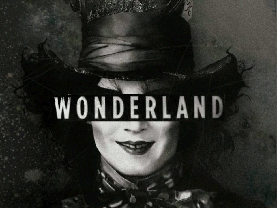 Hey, beautiful;) Go follow @WonderlandBby_ since she gave you this free follow:) Thanks love!