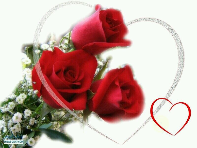 ‏استغفرك ربي واتوب اليك