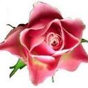 Iris Humphrey - @RoseCityResale - Twitter