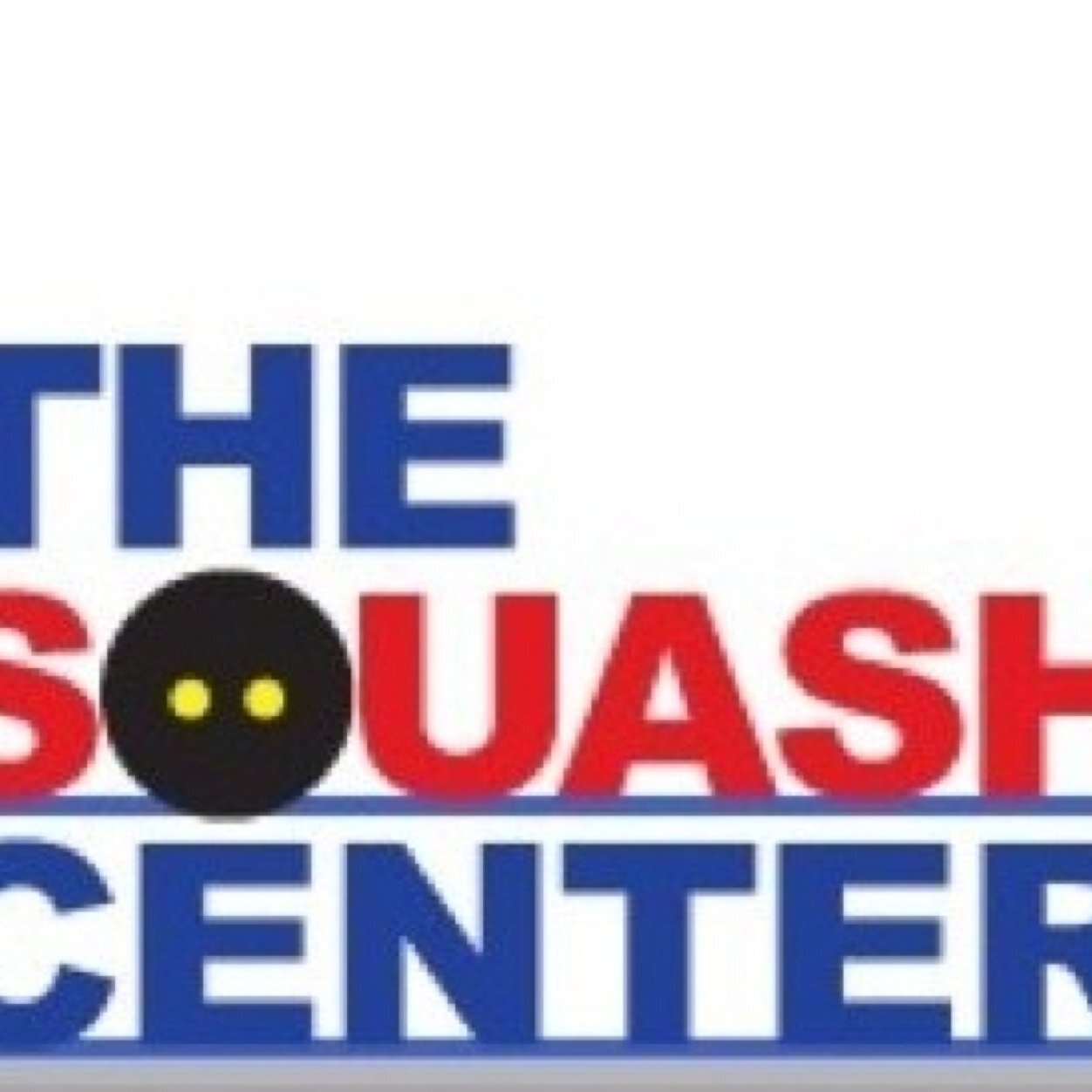A 501c3 not for profit with only 1 goal:To build an Olympic worthy squash facility in NYC, with glass courts, stadium seating, cameras & motion tracking devices