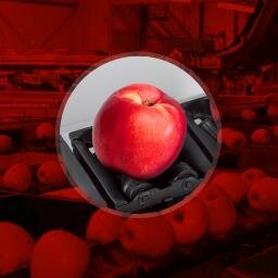 Fruits Sorting Machines - Linhas de Classificação de Frutas