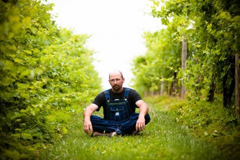 JakeBusching's profile picture. Wine Mechanic, Father, Mountain man, observer.