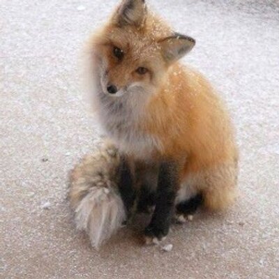 Roan 息子が 怖かった と言いながら起きてきた 勝手にキャラ変していく コラショ チャレンジ 怖い 目覚まし時計 電池切れ 進研ゼミ 面白い動画