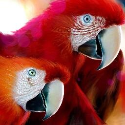 The nature is alive within you.