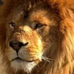 haphsyi's profile picture. Керлинг