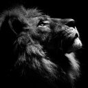 Made - @Madel_Munoz - Twitter