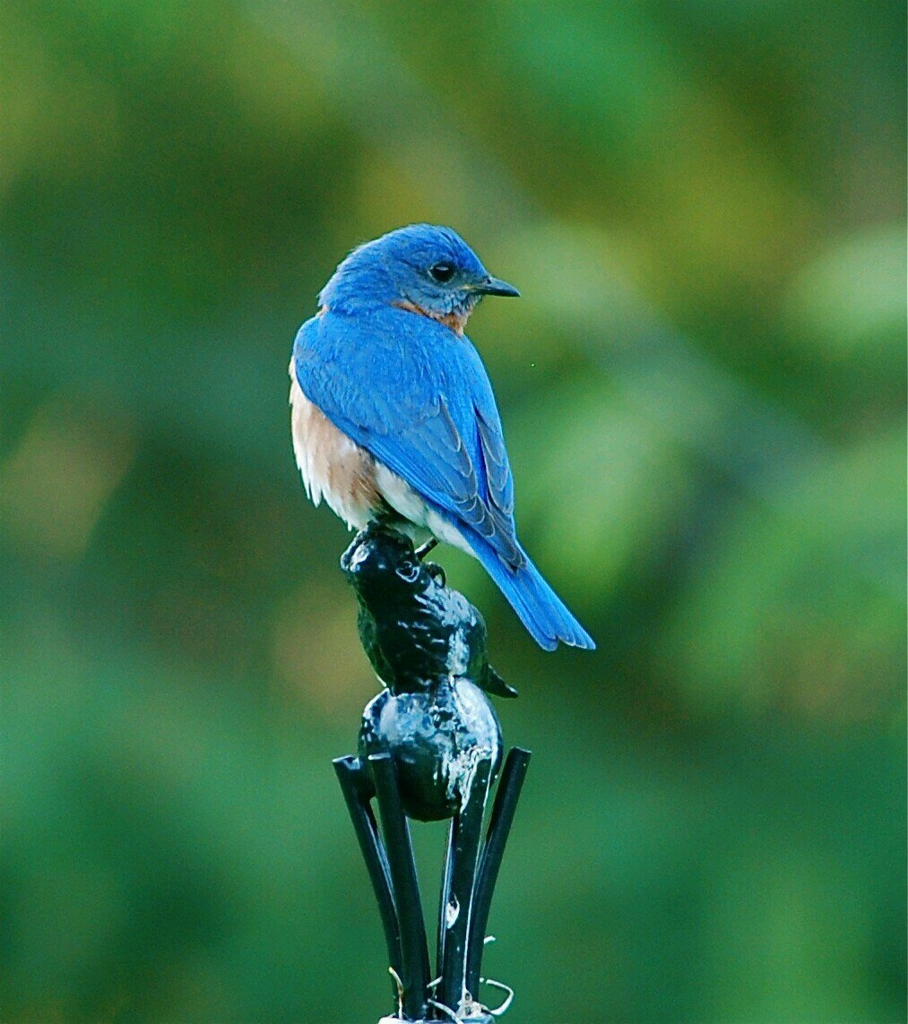 _just_u_and_me's profile picture. *○•°Smile everyday...dream every night...enjoy life like a bird in the sky°•○*