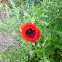 Mª Rosa Lebrón - @MRosaLebron - Twitter