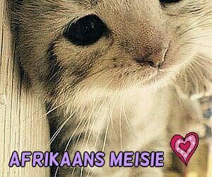 Twee Bloemfontein meisies♡