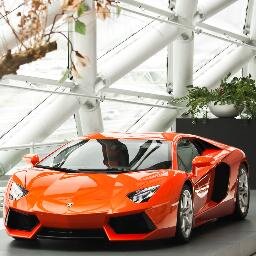 SnakeRodriguezV's profile picture. 