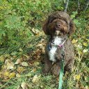 Erin Royer - @eroyer1 - Twitter