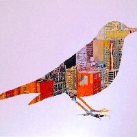 Damian Elwes (@damianelwes) 's Twitter Profile