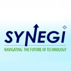 Synegi's profile picture. Navigating the future of technology