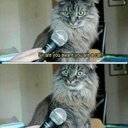 Brandon Lough - @brandonslblack - Twitter