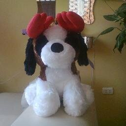 glorialuy's profile picture. soy alegre divertida amigera buena genta