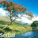 serkan bal (@009serbal) Twitter