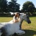 Sharon Wood (@horsesforcauses) Twitter profile photo Sharon Wood (@horsesforcauses) Twitter profile photo