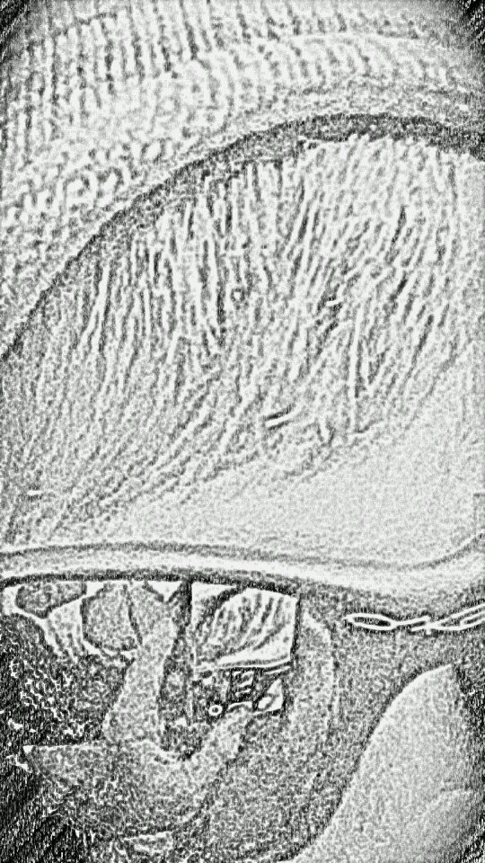 NeonTiger07's profile picture. Everything happens for a reason