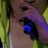 _carzy02's profile image
