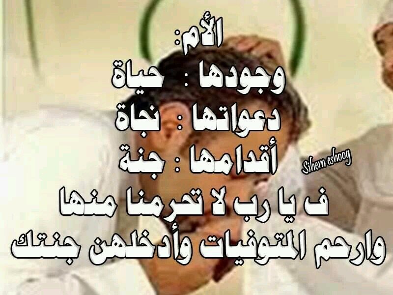 صورة ذات صلة