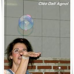 me resumo em ser uma palhaça