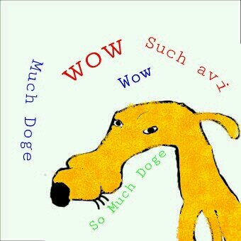Am teh Furzt Doge Tewn #Doge @Dugepls