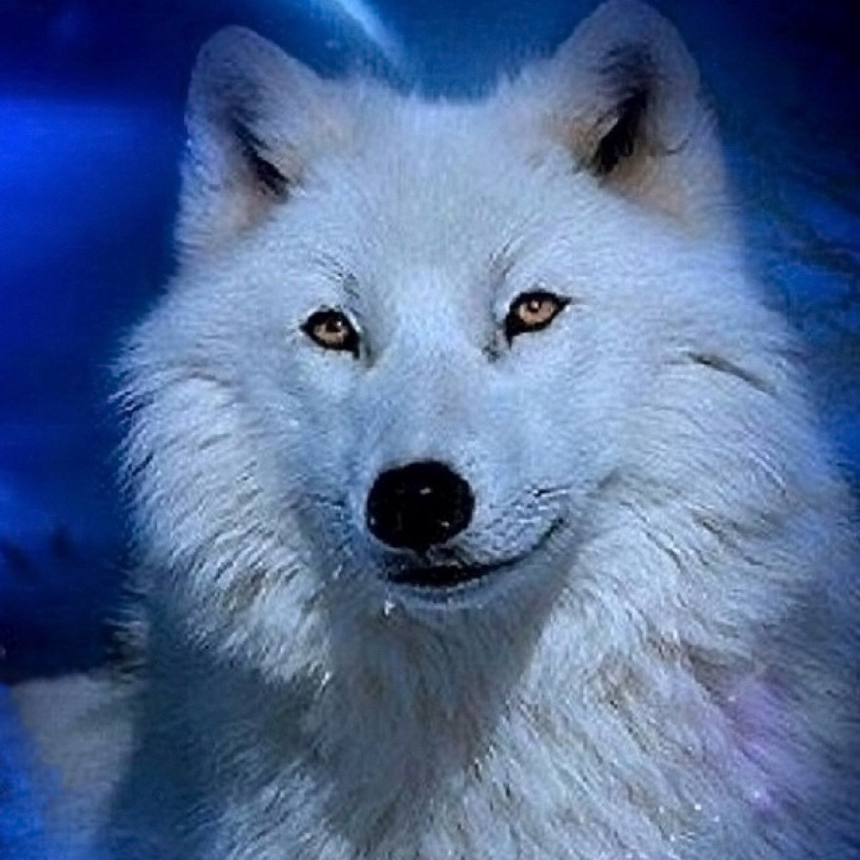 PATRIOT_52's profile picture. I Believe in GOD, FAMILY AND COUNTRY. # Patriotic Family #🇺🇸🇺🇸 #PATRIOT PARTY, #Conservative,