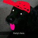 Aidan Robbins - @AGRXD - Twitter