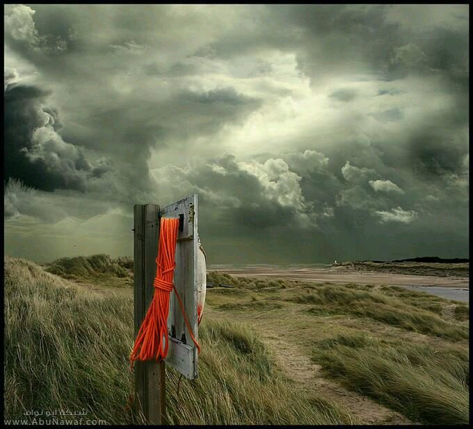 bntalrjal1000's profile picture. في قلب أمي