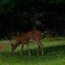 David Wigington - @WigingtonD - Twitter