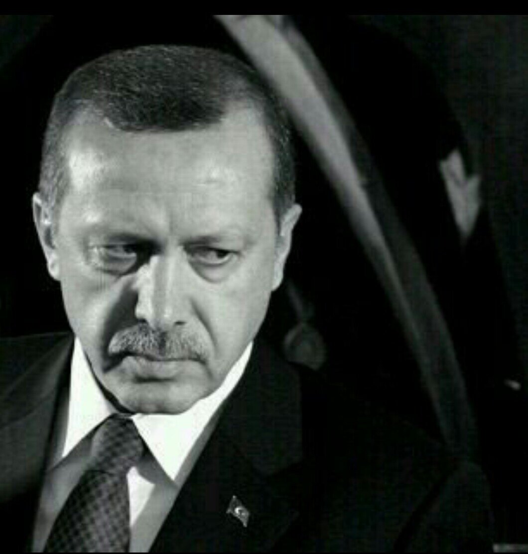 aydogandoganay Profile Picture