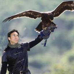 altobradano's profile picture. 