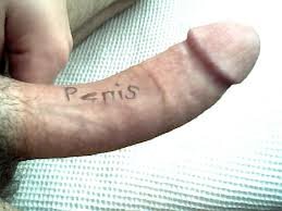 pussylikkertje1's profile picture. geile jongen van 18 jaar, zin in lekker geil doen en ballen? XX ik wacht op je honey