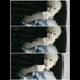 Jelo (@dngerzeloh) Twitter profile photo