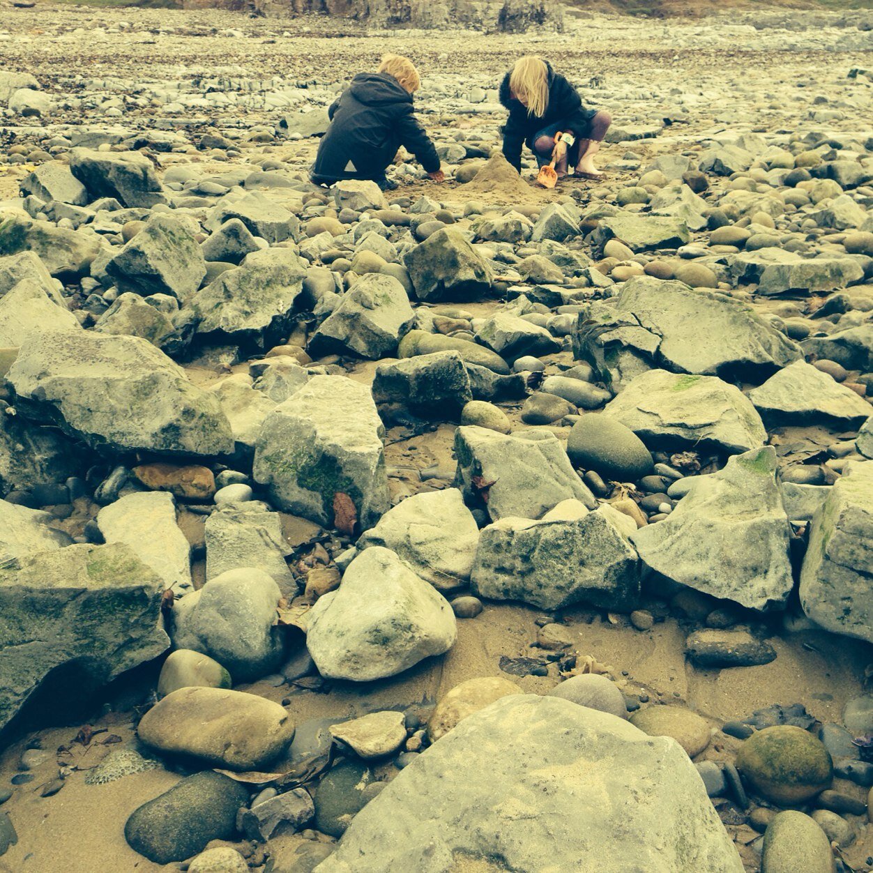 Huxleythecat's profile picture. Mum of two by adoption, counsellor, veggie, animal lover, crochet and charity shop addict.