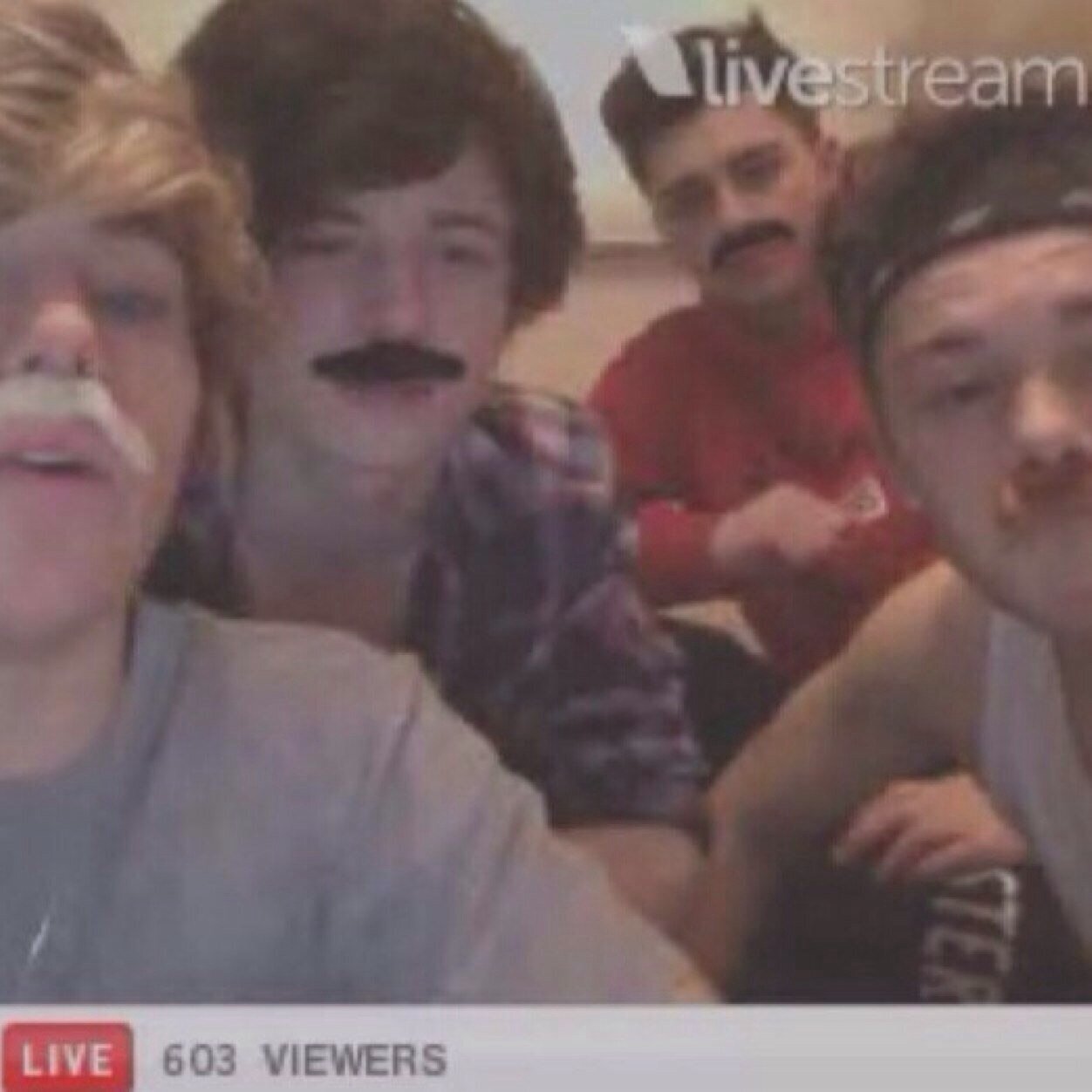 hey i gave you this free follow so go and follow @olliegxrland she follows back ily