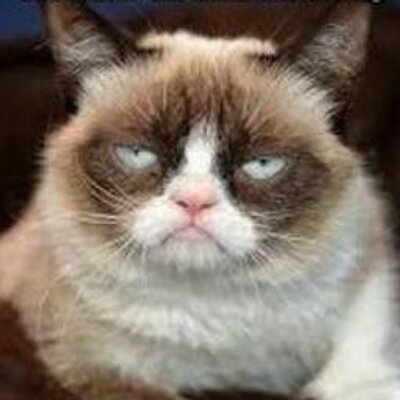 lm_GrumpyCat lm_GrumpyCat