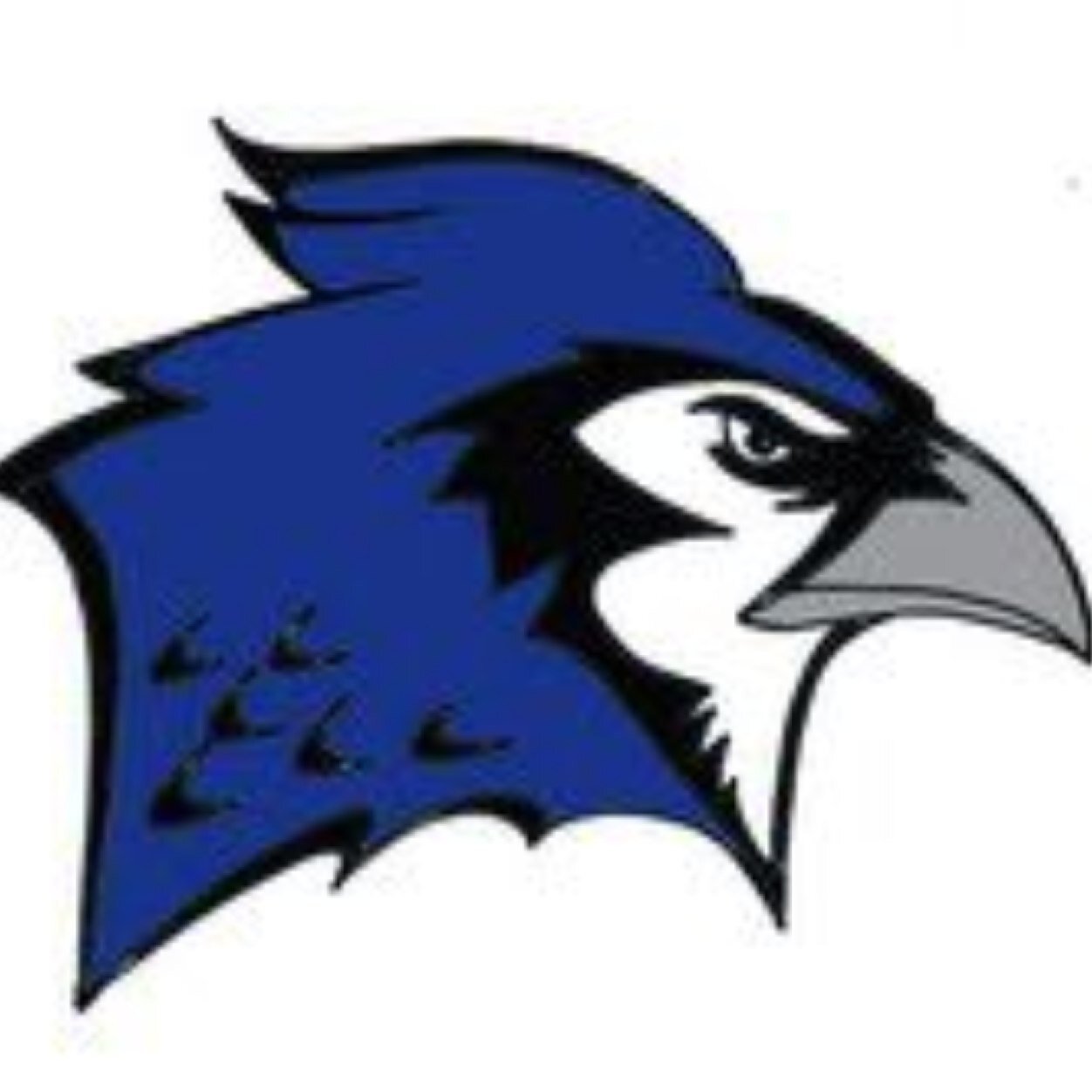 SabethaHigh's profile picture. In no way associated with USD 113, or Sabetha High School. Tweets about SHS for everyone to enjoy.