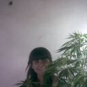 laura janis - @laujanis - Twitter