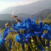 Ramazan arslan (@corgenes) Twitter profile photo