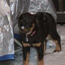 Jerome Trahan - @JeromeTrahan - Twitter