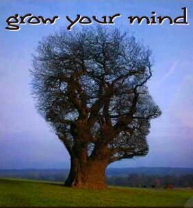MindGrowth's profile picture. Bringing you the secrets of success to help you achieve what you want in life