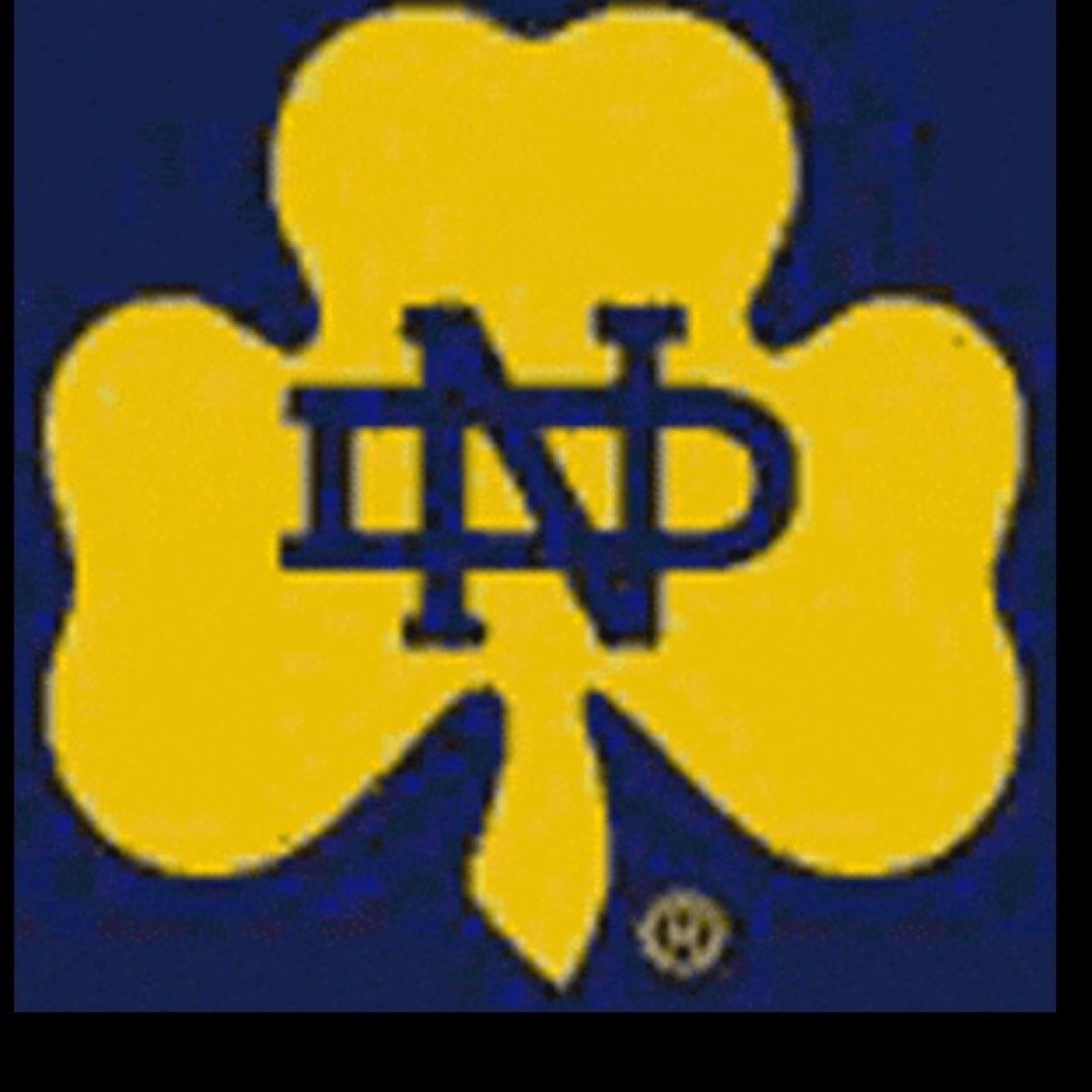 bopboryan's profile picture. 