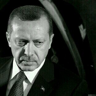 dostemo42's profile picture. 