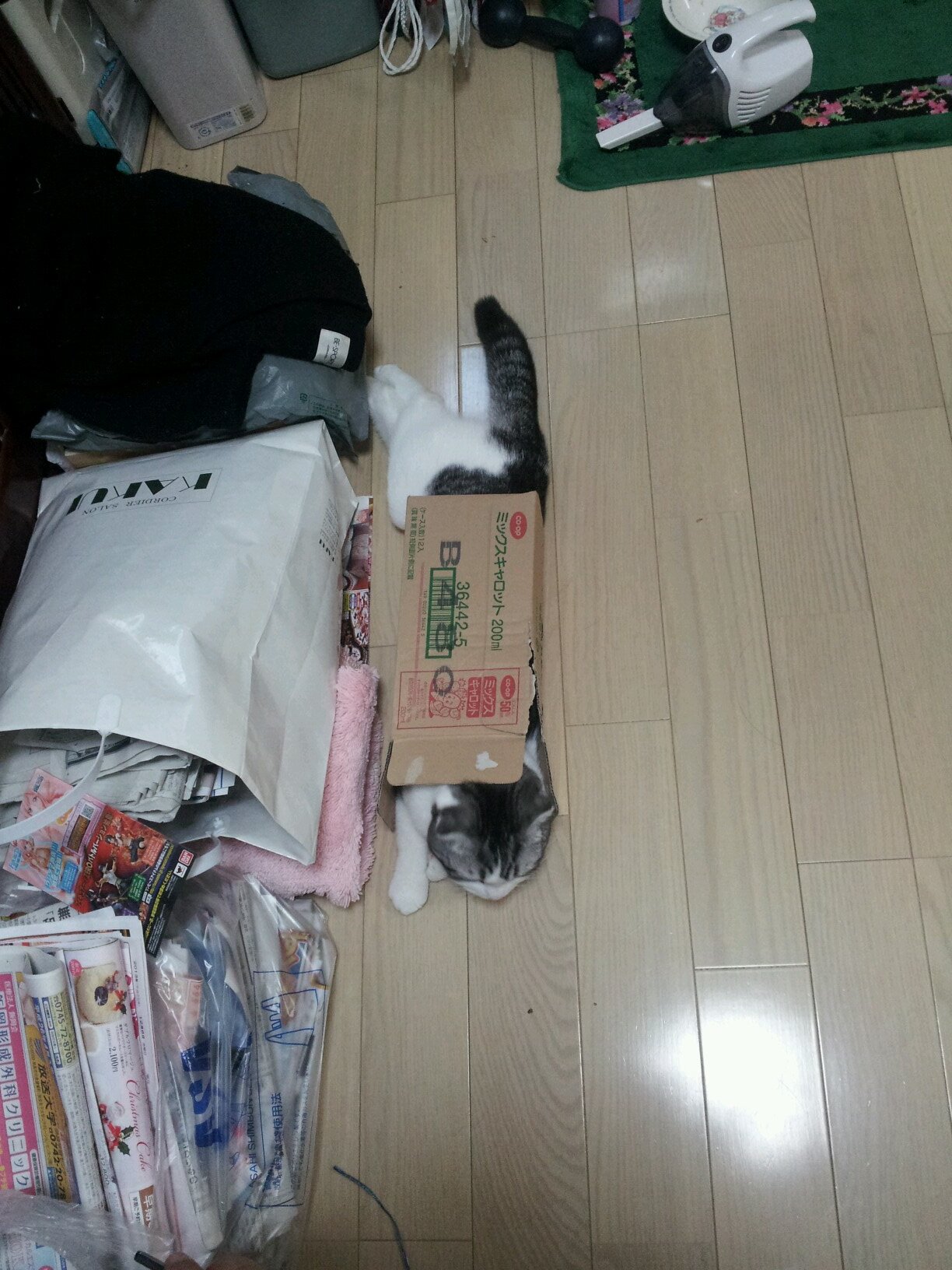 コウゾウ！！