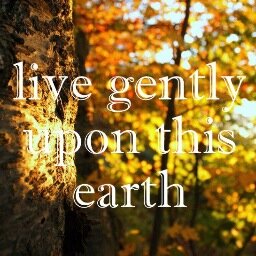Here to inspire those to explore and seek nature every once and a while